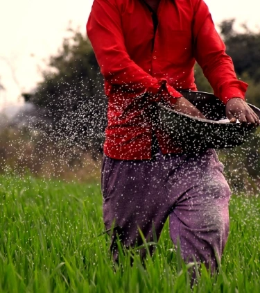 Festivals of harvest – How India celebrates its farmers and worships its farms